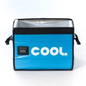 Portable Car Cooler Box – Compact Travel Refrigerator for Cars in Nairobi, Kenya