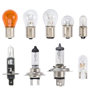 Bulbs